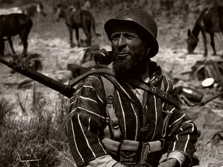 LA MÉMOIRE DES TABORS MAROCAINS