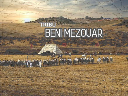 TRIBU BENI MEZOUAR