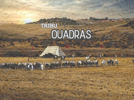 TRIBU OUADRAS