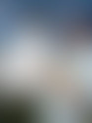 LES MAROCAINS SONT-ILS LE PEUPLE LE PLUS MALHONNÊTE AU MONDE ? LA SCIENCE RÉPOND