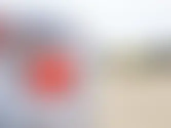 40 TONNES D'AIDE HUMANITAIRE À GAZA