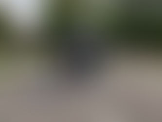 La préparation physique des cavaliers : sport et études !