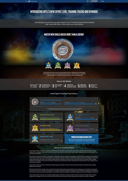 INTEL-SITE-EXPERT LEVEL-Roarwebsite.png