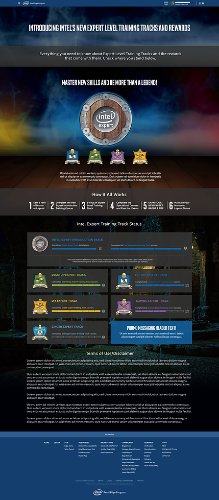 INTEL-SITE-EXPERT LEVEL-Roarwebsite.png