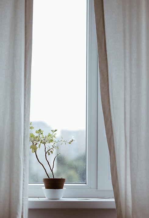 Window With Plant_edited.jpg