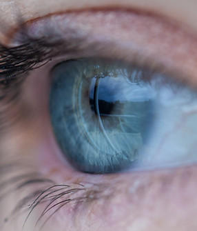 Primer plano de Blue Eye