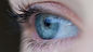 Nous avons l'oeil partout