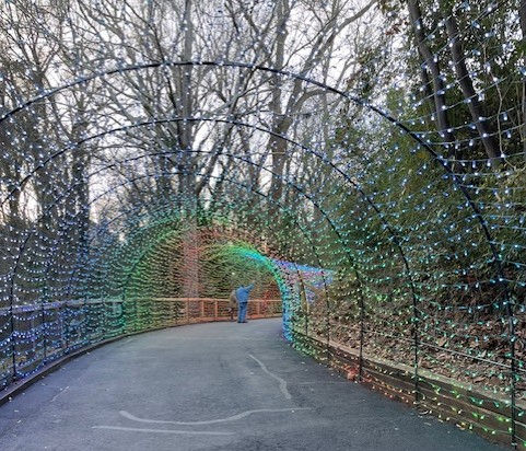 A tunnel with lots of holiday lights, Spartanburg Wedding venue, Greenville Wedding venue, Wedding venue in the upstate of SC, all inclusive wedding venue, barn wedding venue, luxury barn venue, Spartanburg outdoor wedding, Wedding venue near me,