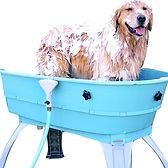 Pet bath at the Fig Tree Retro Studio