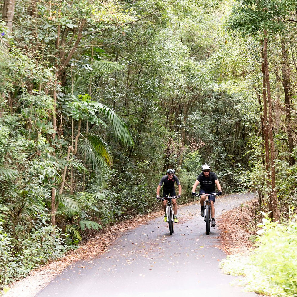 Northern Rivers Rail Trail