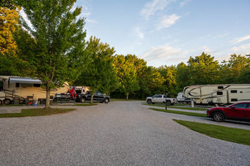 RVs and trucks parked at a lush, wooded campground gallery
