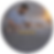 expert-cat-consultancy-success-story-testimonial