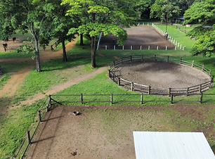 Arena_Roundpen.png