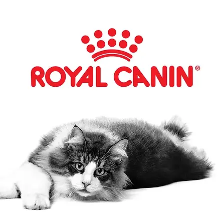 royalcanin-mobile-banner.webp