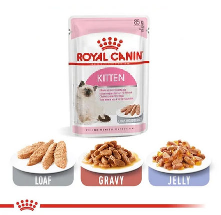 kittenloaf-9-500x500.png