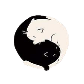 images_edited.png