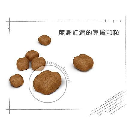 9a27d1218ee2f937e285b970ab17c345-850x850.jpg