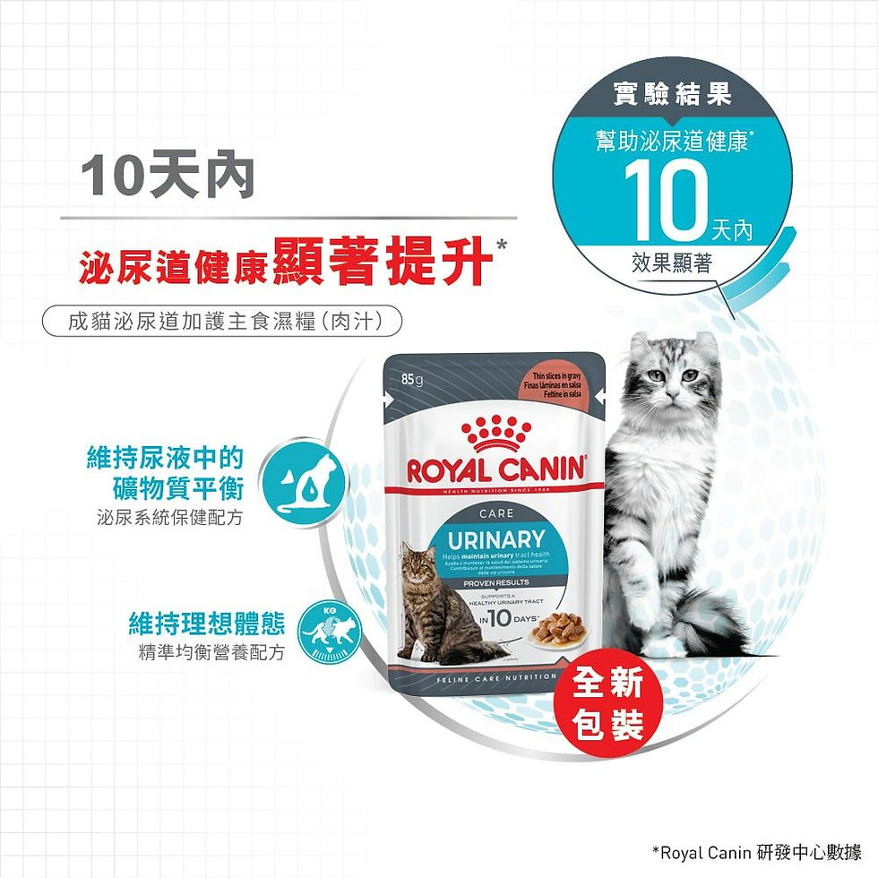 縮圖：Royal Canin - 成貓泌尿道加護主食濕糧 (肉汁) 85g
