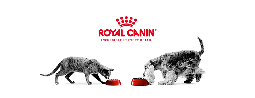 Royal-Canine-header.png