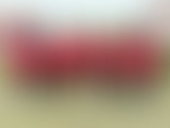 TUNAS MUDA JUNIOR JUARAI TROFEO KARANGASEM