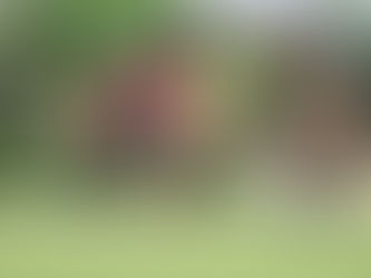 GODLIKE !!!, TUNAS MUDA SARANGKAN 7 GOL KE GAWANG HISHENG