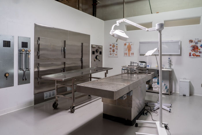 Morgue004 Large.jpeg