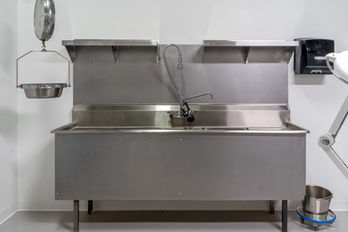 Morgue017 Large.jpeg