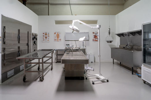 Morgue005 Large.jpeg
