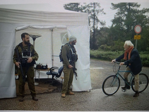 The Maiden and The Maven: A Modern Fairy Tale