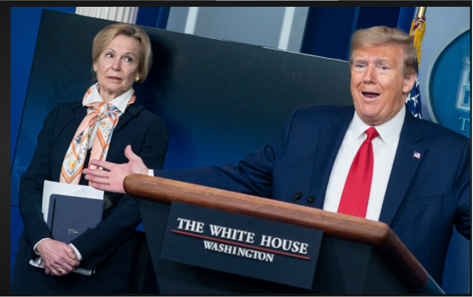 The President rattled Dr. Deborah Birx, a medical advisor, by suggesting that injecting disinfectants might cure coronavirus