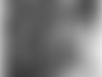 Memories of a Boxing Broad