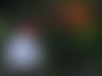 Neighbors See Trump Waiting by Mailbox for Reinstatement Notice