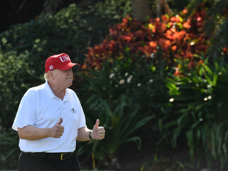 Neighbors See Trump Waiting by Mailbox for Reinstatement Notice