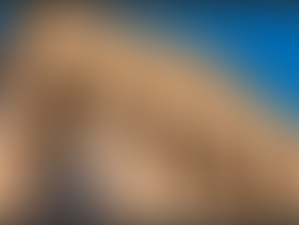 The United States of America v. Donald J. Trump