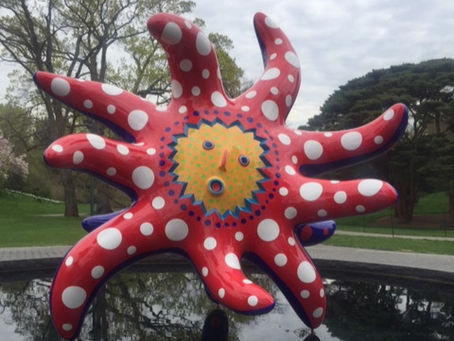 Connecting the Dots at the Botanical Garden