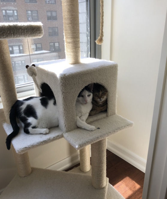 Jimmy and Abby Sachs quarantining while soaking up the sun