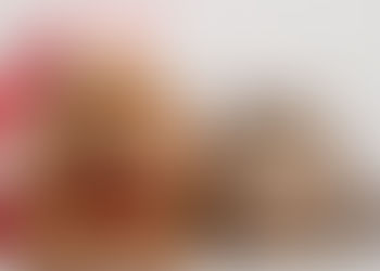 Protect Your Pet from These Six Holiday Dangers