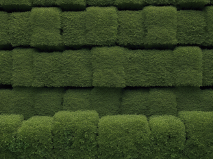 Discover Grounding Gardening: Landscaping Excellence in Bega Valley
