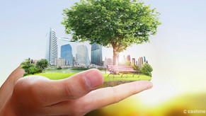 Apontamentos sobre as cidades sustentáveis
