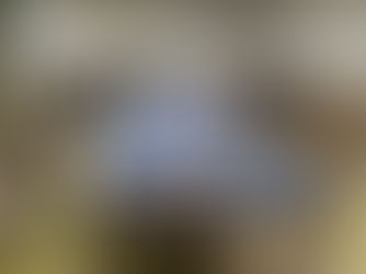 Parceria internacional promete expandir o comércio de pescado no Ceará