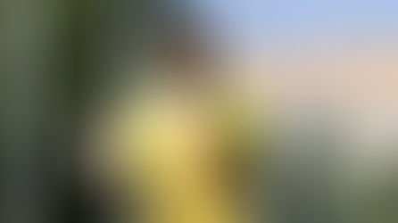 Bolsa Atleta: Programa atinge novo recorde e alcança 11.182 contemplados em 2026