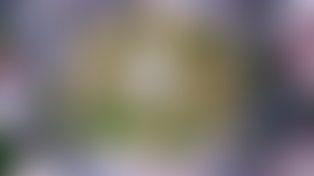 Conheça 6 Cidades Brasileiras que se Destacam em Sustentabilidade e Limpeza Urbana