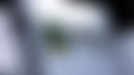 Mês do Consumidor: operação especial da ANP fiscaliza 397 postos de combustíveis