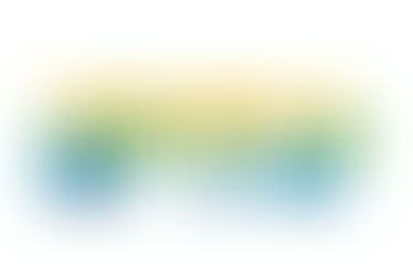 Cidades reduzem IPTU em até 50% para quem adota cães ou planta árvores... e mais...