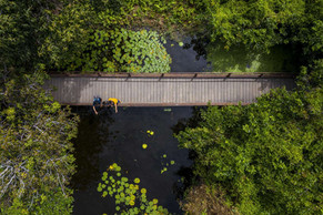 Governo do Ceará apoia jovens cearenses no desenvolvimento de projetos sustentáveis