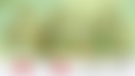 Jovens empreendedores rurais em S. Gonçalo do Amarante têm oportunidade de ter negócios financiados