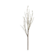 PussyWillowSprayS20.jpeg