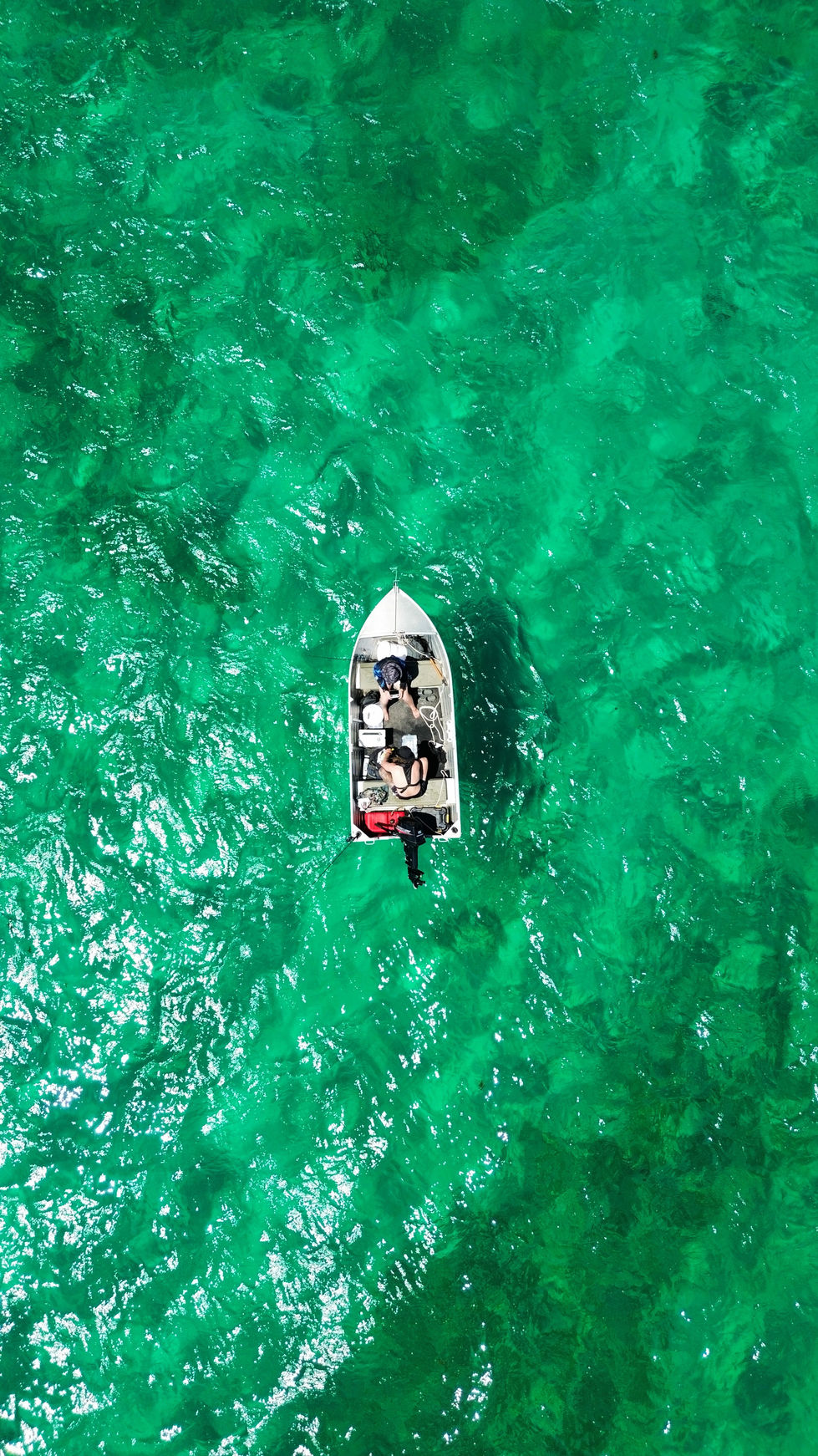 dji_fly_20251228_113442 am_367_1766906281152_photo_optimized