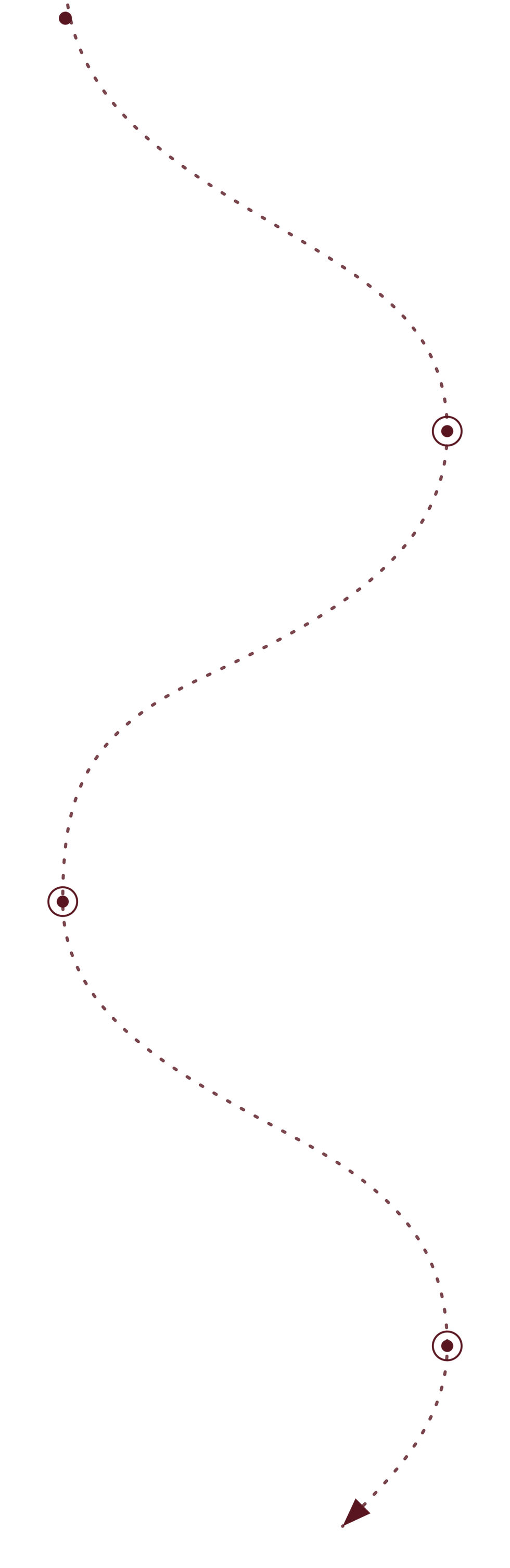 route-mobile-wine-transparent.png