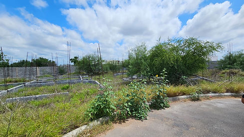 PROYECTO RESIDENCIAL